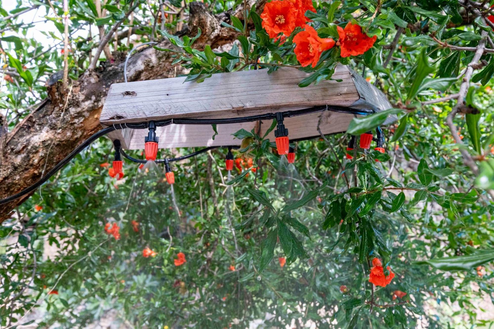 Casa Acollidora I Familiar Amb Jardi I Barbacoa Villa Ager Dış mekan fotoğraf